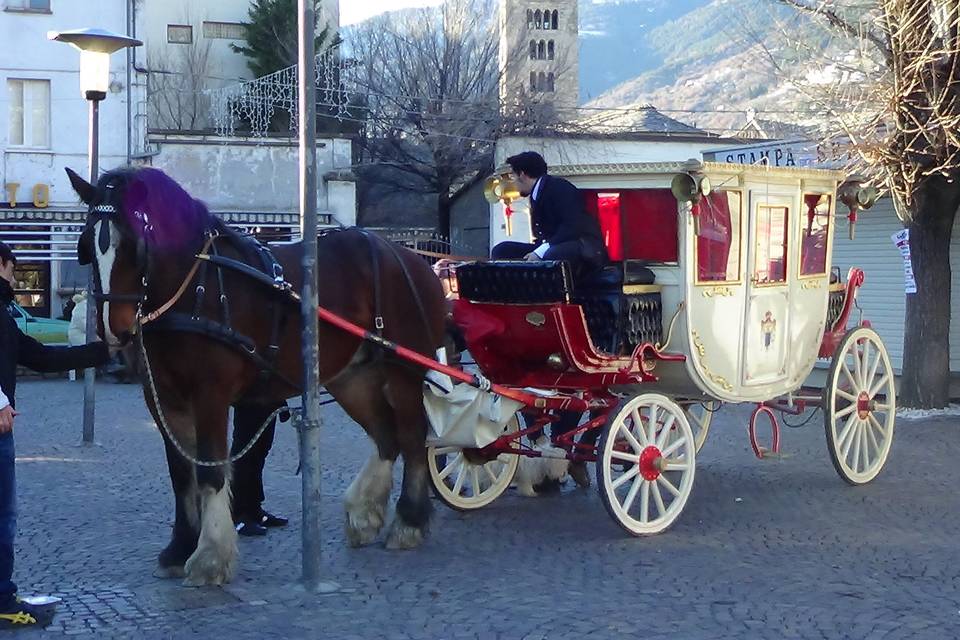 Shire Horse Caleche