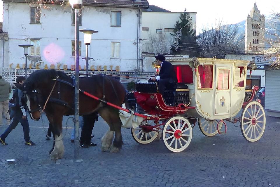 Shire Horse Caleche