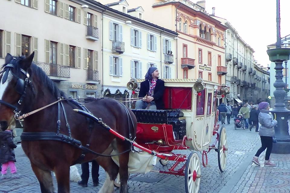 Shire Horse Caleche