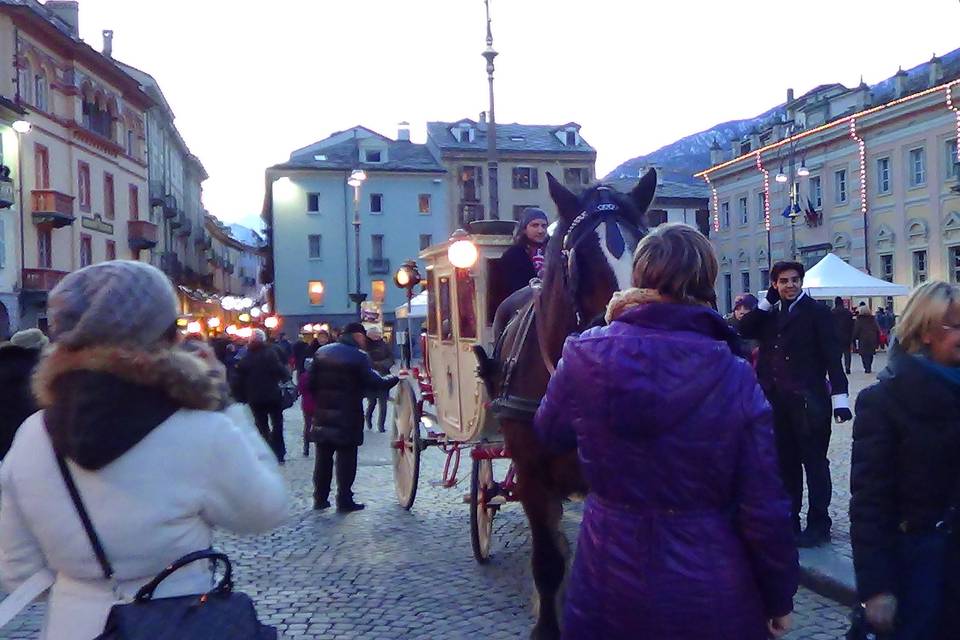 Shire Horse Caleche