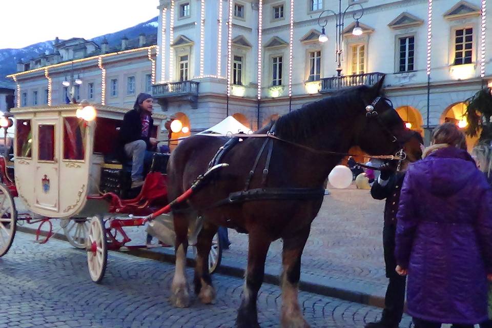 Shire Horse Caleche