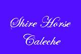 Shire Horse Caleche