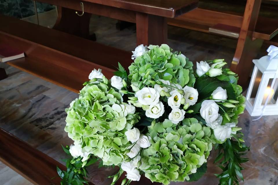 Lysianthus