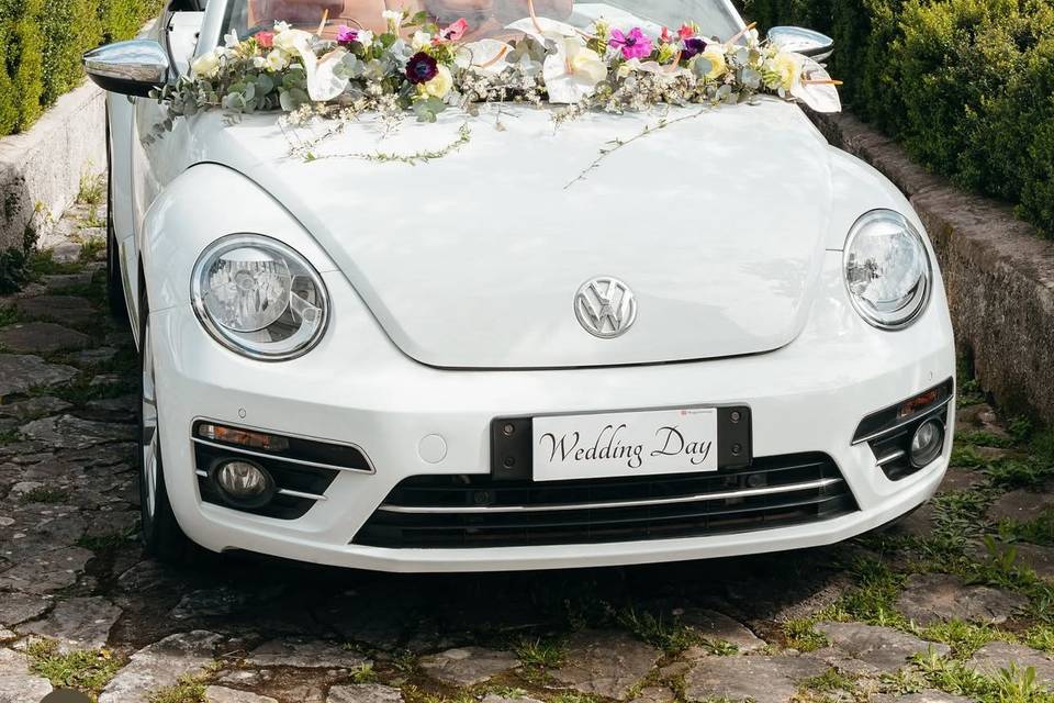 Magggiolino