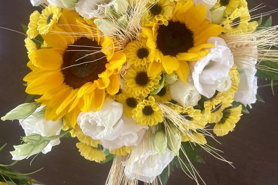 GIRASOLI