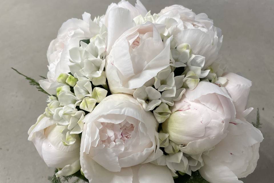 PEONIE