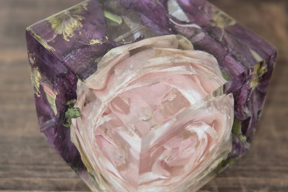 Cubo rose ed elleboro