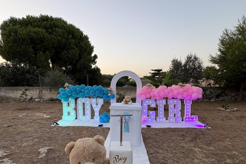 Gender reveal