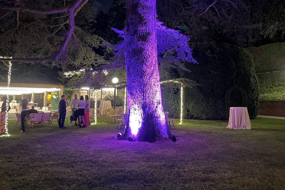 Allestimento Luci la Cedrina