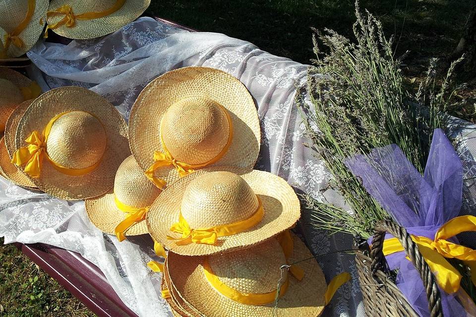 Il Giardino di Alice