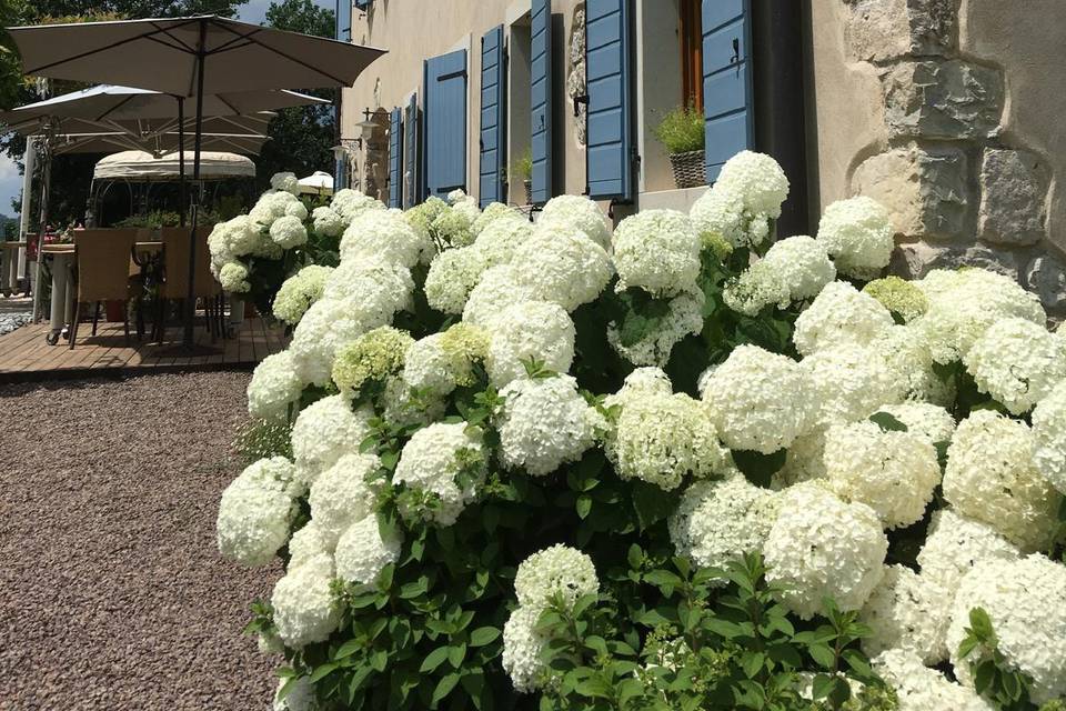 Il Giardino di Alice