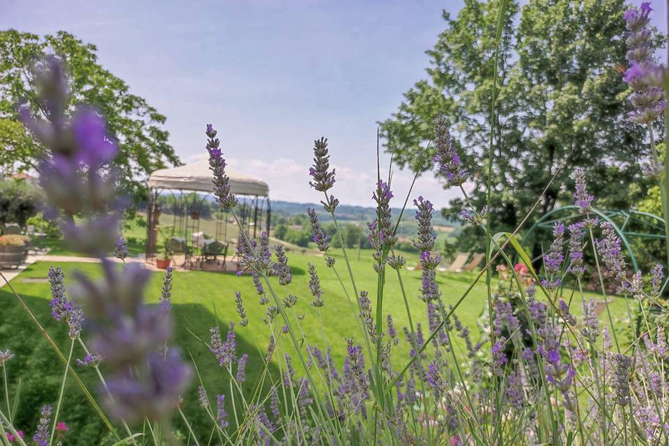 Il Giardino di Alice