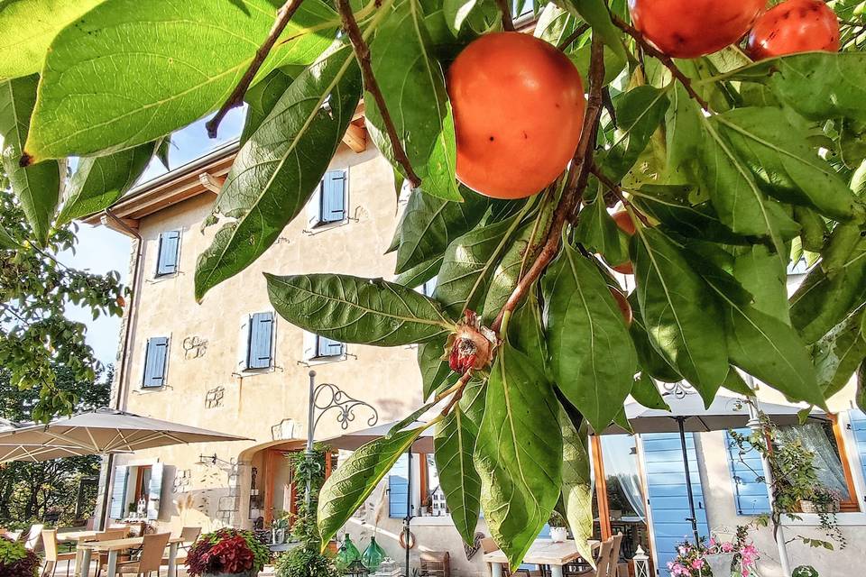 Il Giardino di Alice