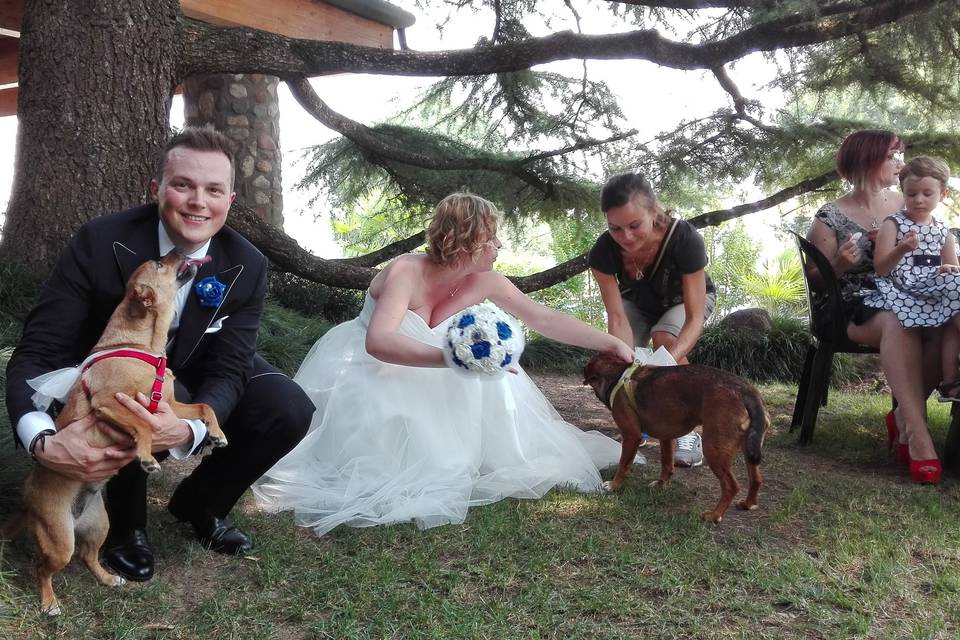 Servizio wedding dog sitter