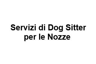 Servizi di Dog Sitter per le Nozze