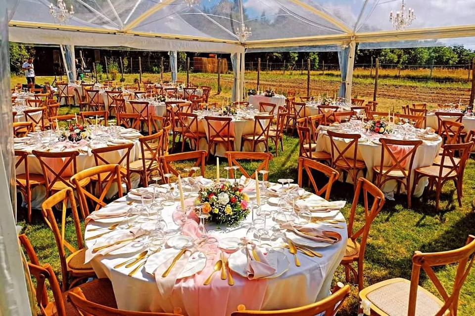 Apparecchiatura matrimonio