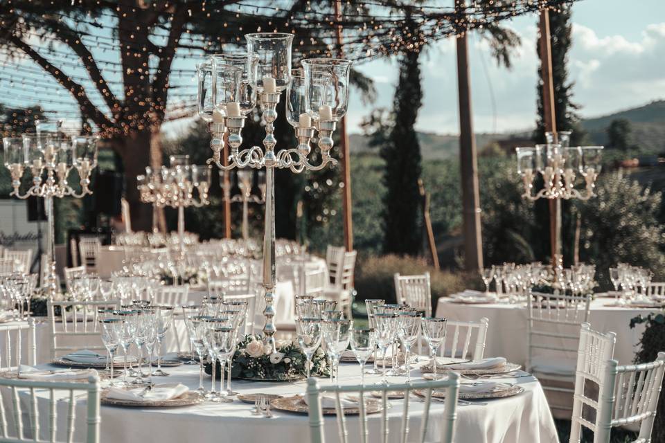 Elegant vineyard wedding