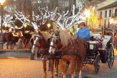 Natale in carrozza