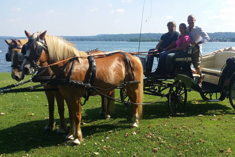 Carrozza sul lago Maggiore