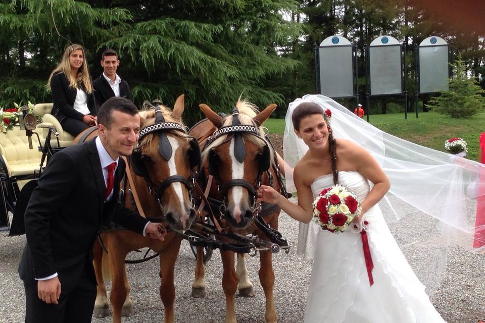 Matrimonio a Varese