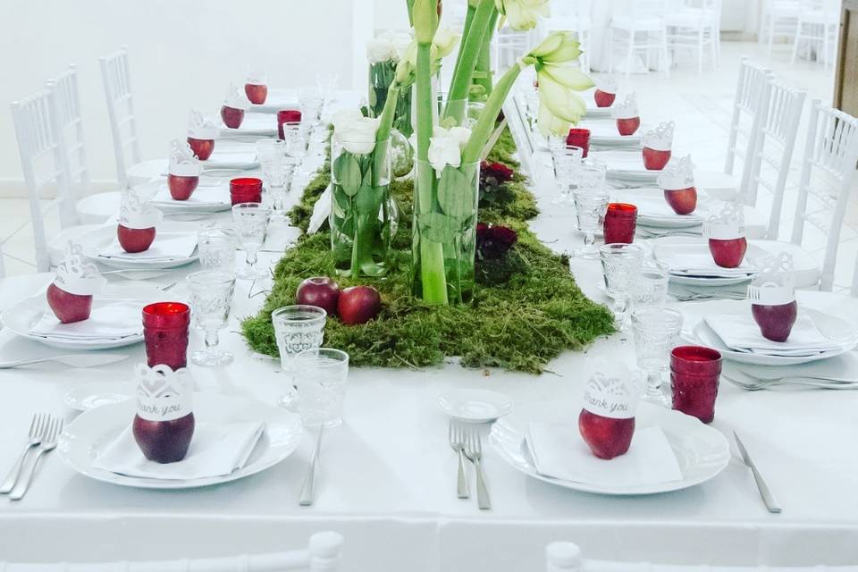 Tovaglia verde mela - NOLO Catering