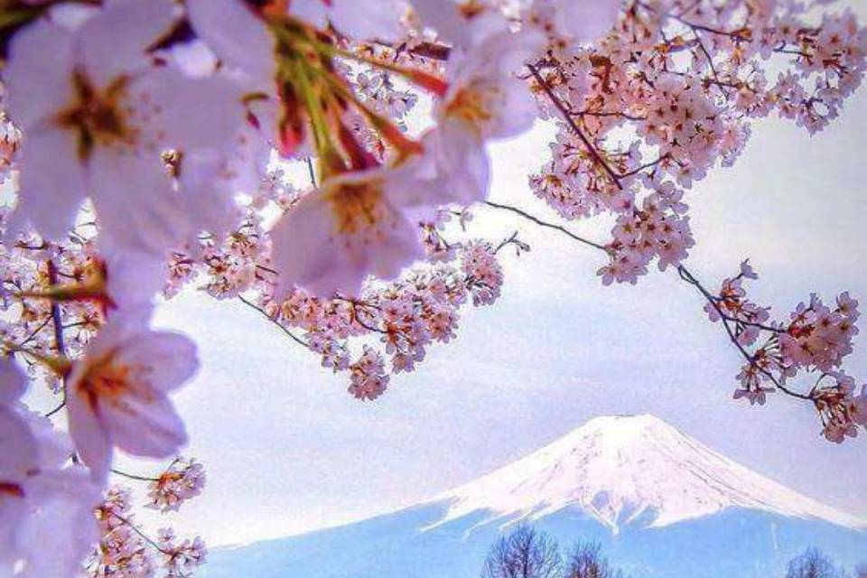 Giappone Monte Fuji