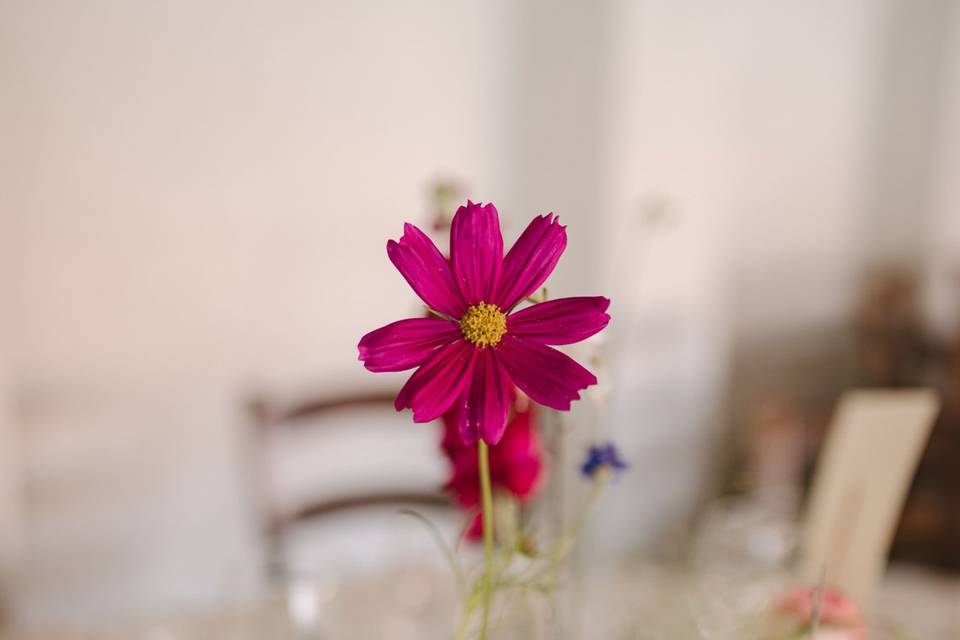 Dettaglio fiore tavolo
