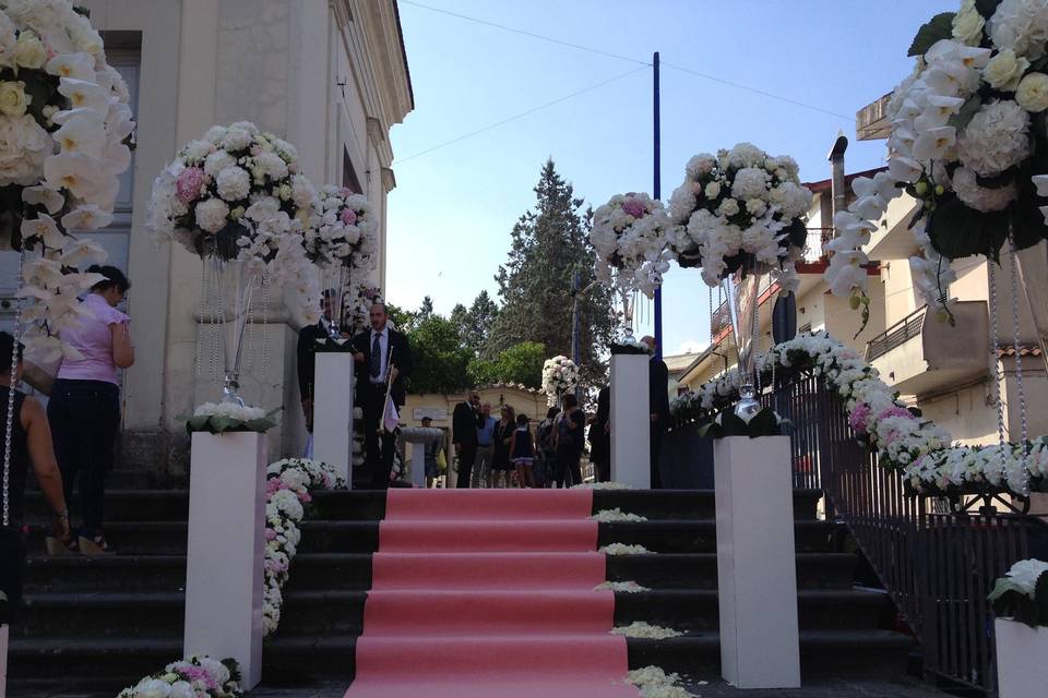 Ortensie bianche