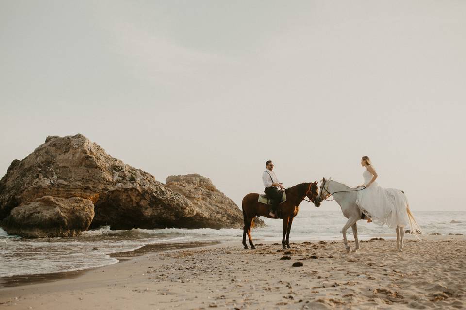 Trash the dress