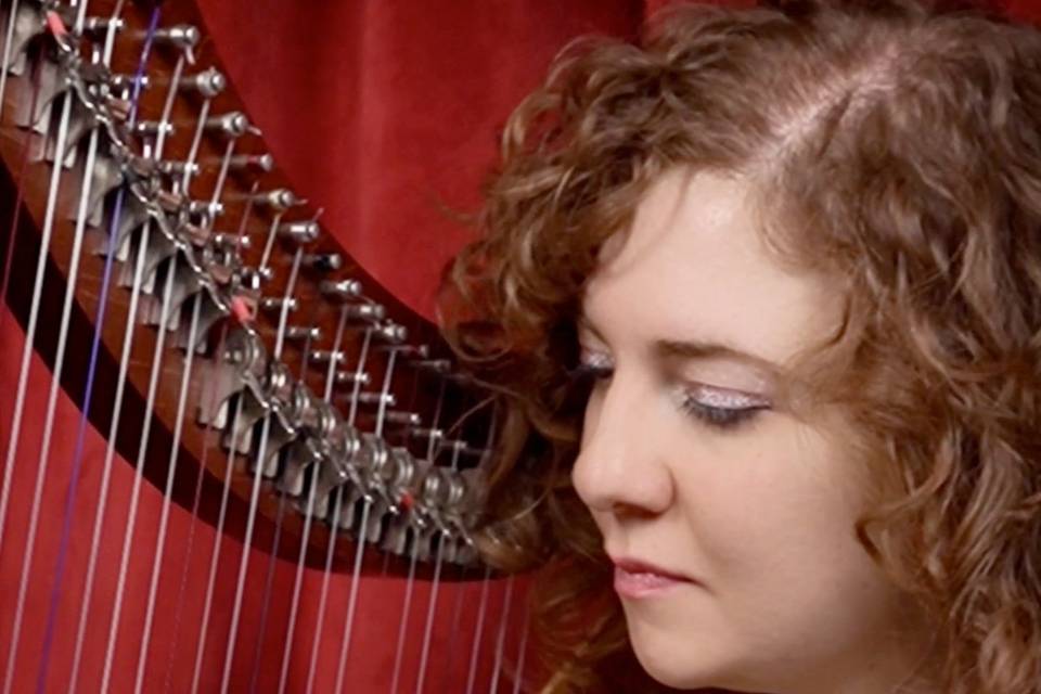 Arpa celtica