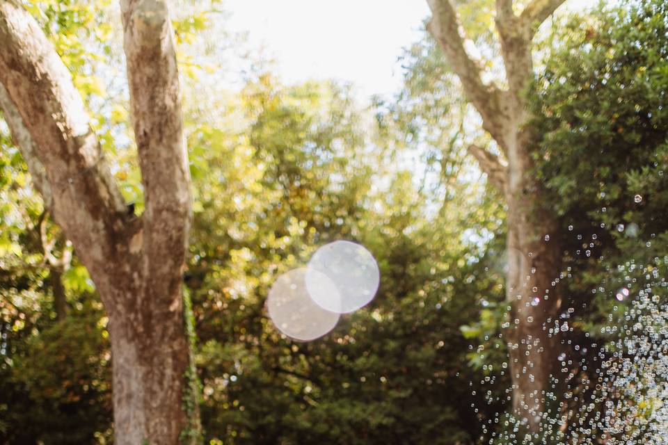 Bonconpagni location