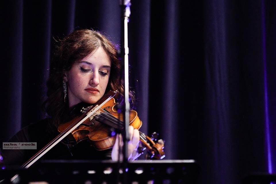 Violino