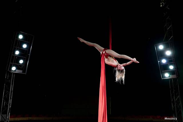 Aerial silks