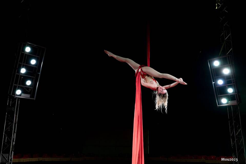 Aerial silks