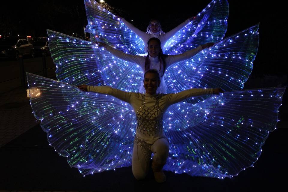 Farfalle luminose