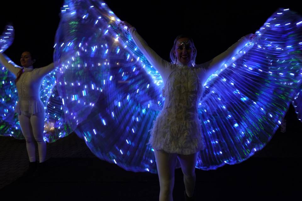 LED Show