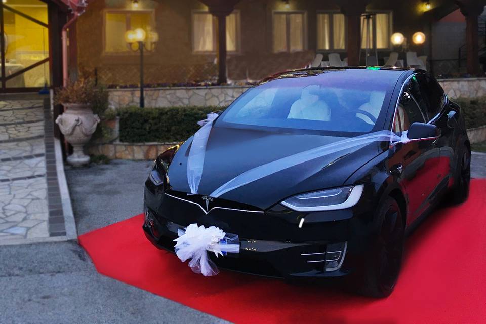 EMoVi-Tesla Model X