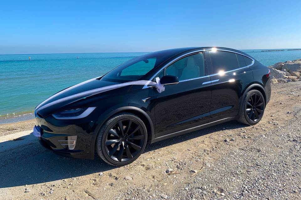 EMoVi-Tesla Model X