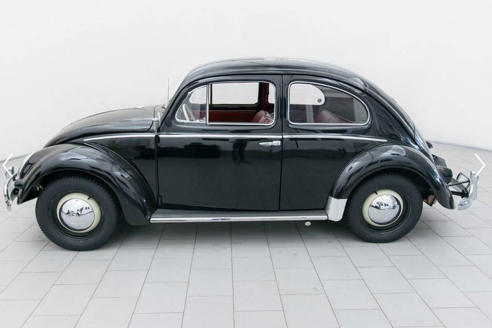 Volkswagen Beetle - Maggiolone