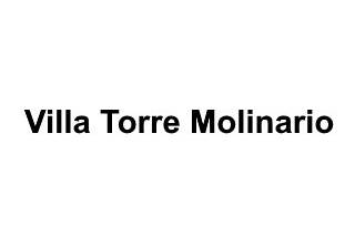 Logo Villa Torre Molinario