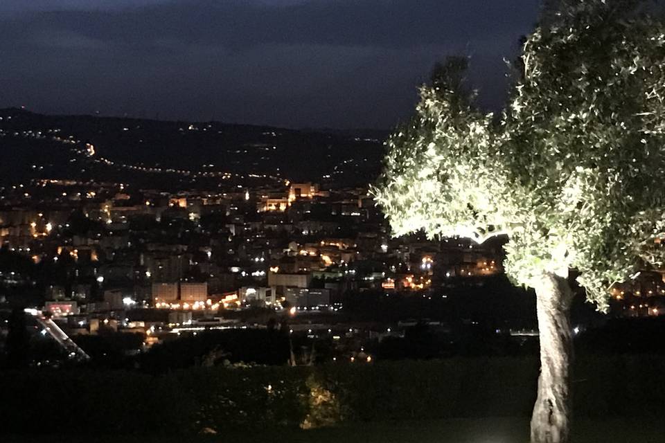 Potenza