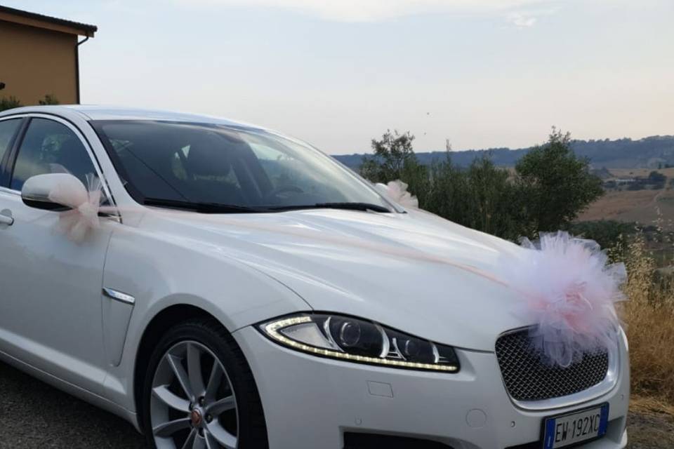 Jaguar XF Bianca