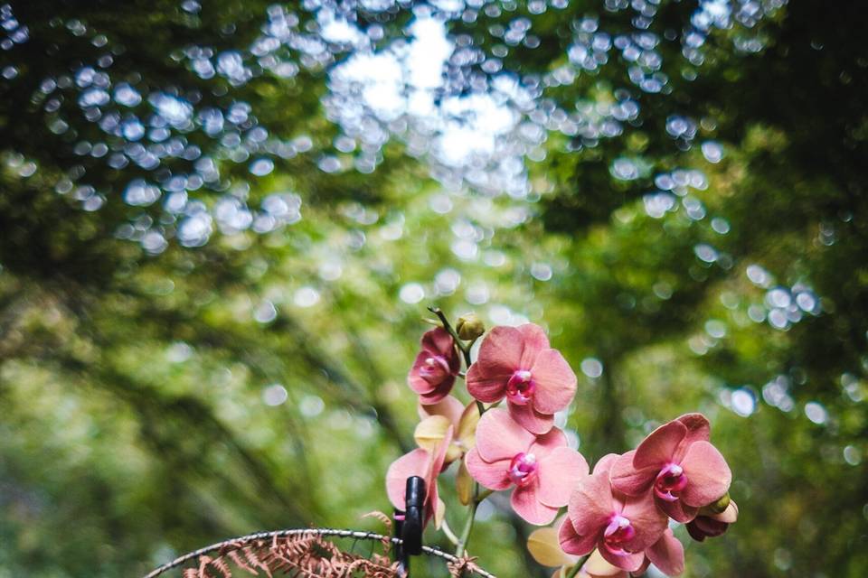 Matrimonio con fiori raccolti