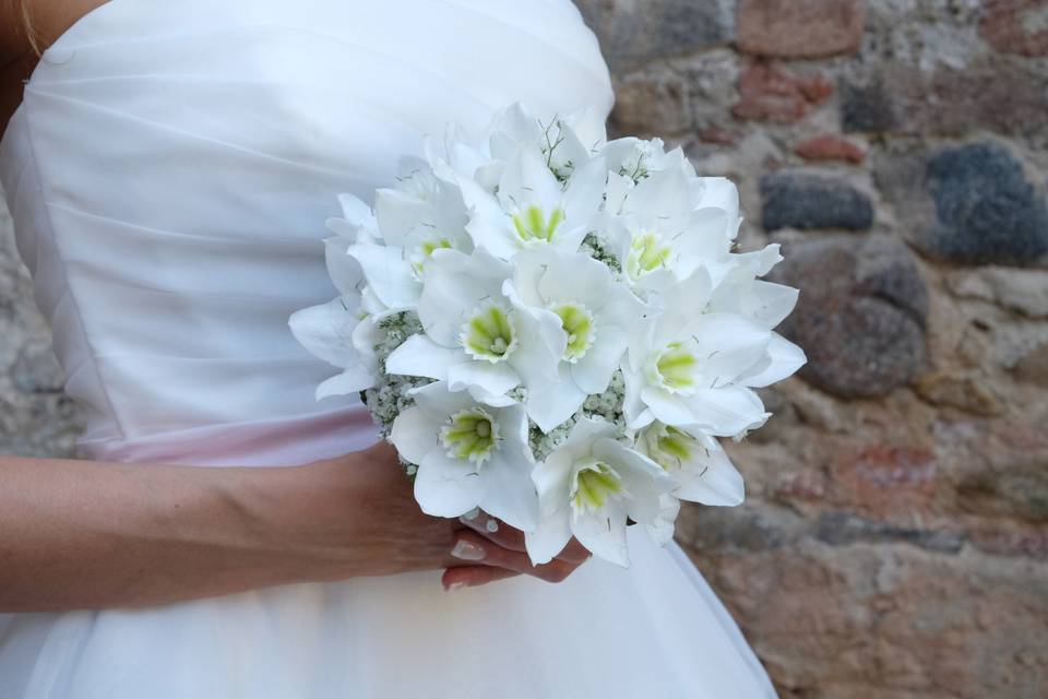 Bouquet di eucharis