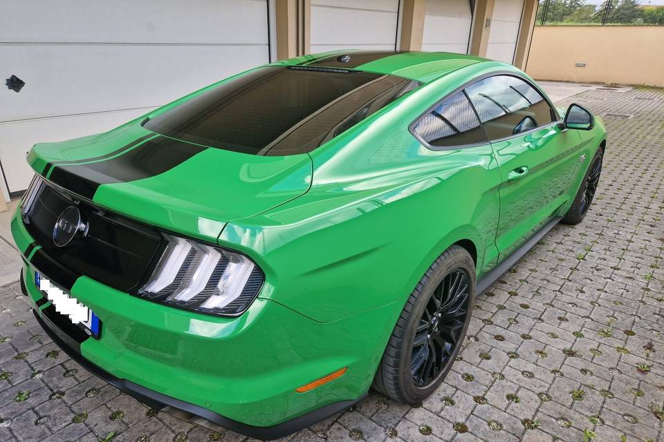 Le Mustang di Davide