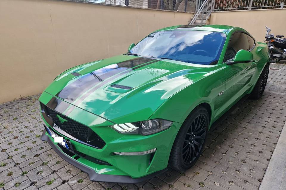 Le Mustang di Davide