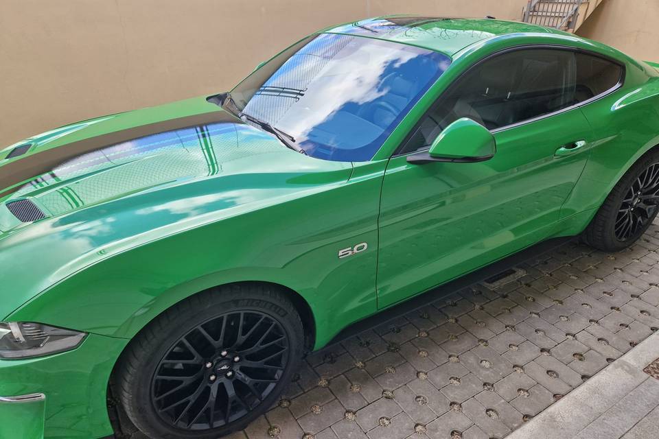 Le Mustang di Davide