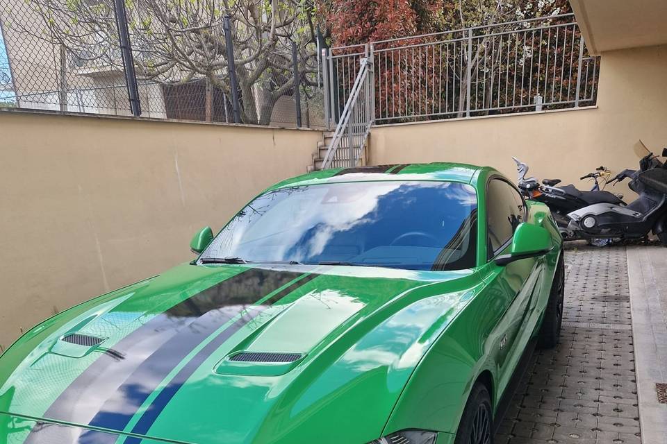 Le Mustang di Davide