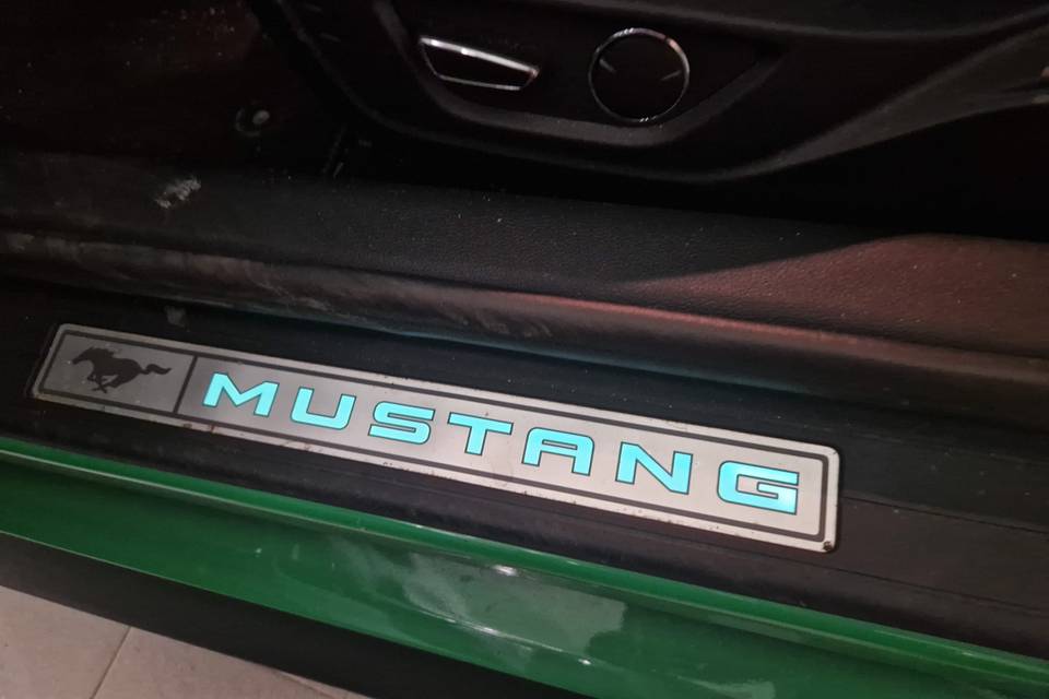 Le Mustang di Davide