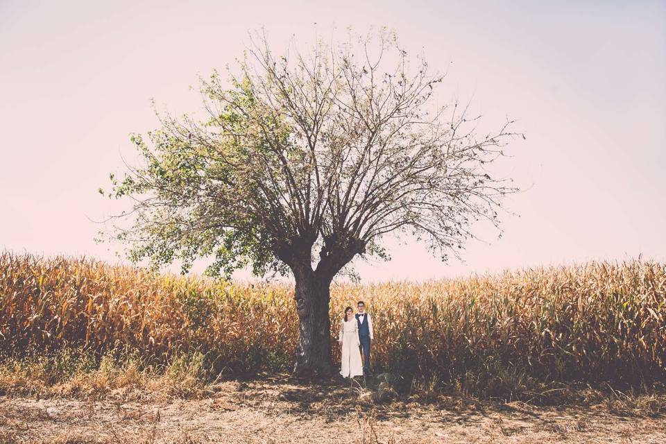 Fotografo-matrimonio-massolo